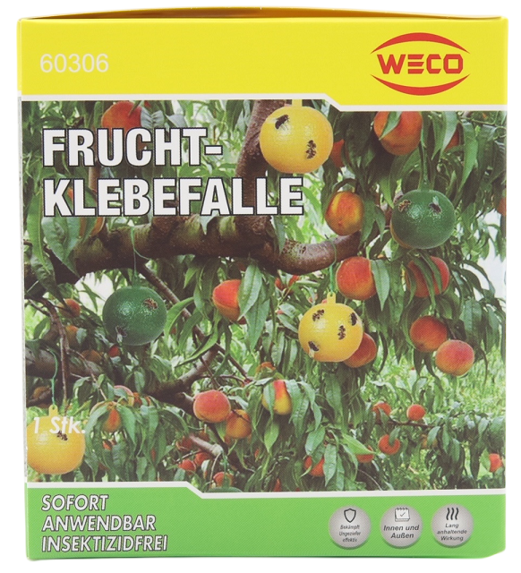 Frucht - Klebefalle 1er Pack