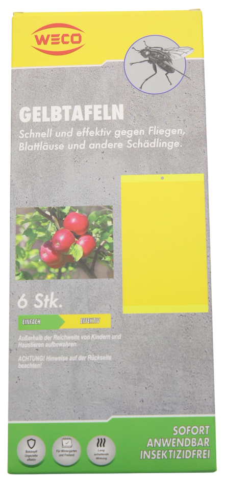 Gelbtafeln 6er Pack